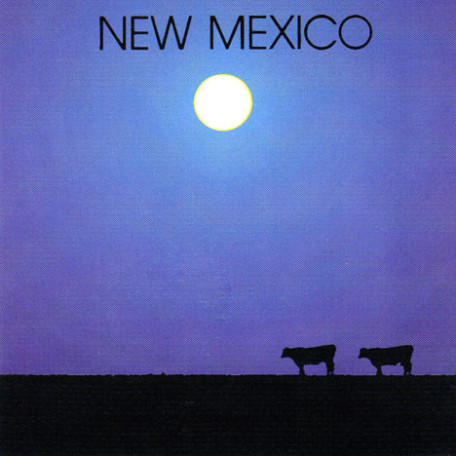 New Mexico II